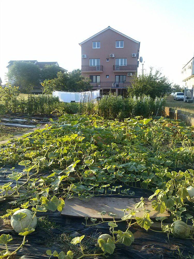Pansion Ivanka Barac Međugorje Exterior foto