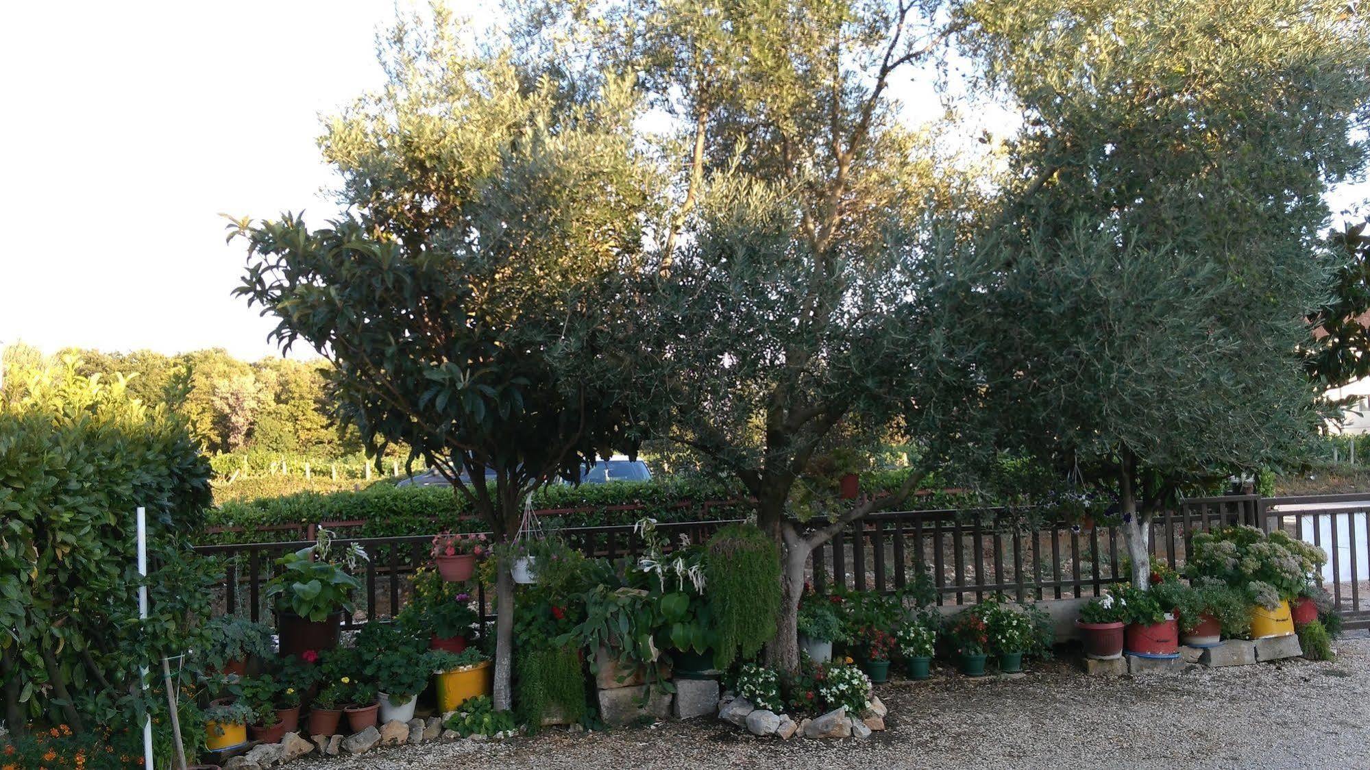 Pansion Ivanka Barac Međugorje Exterior foto